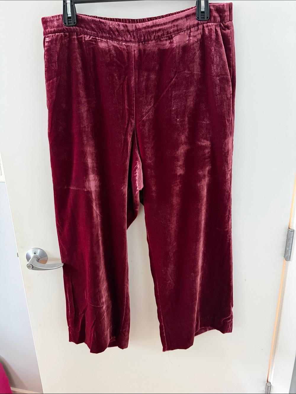 J. Crew Velvet Pants in Burgundy